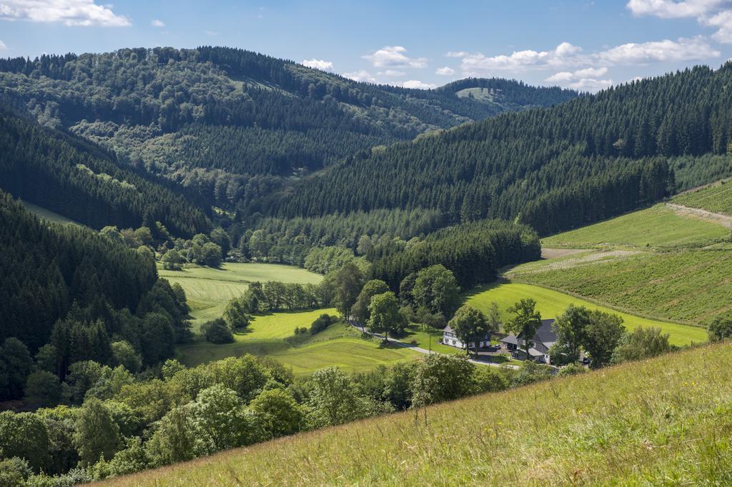 Landhaus Zum Sorpetal Hotel Schmallenberg Esterno foto