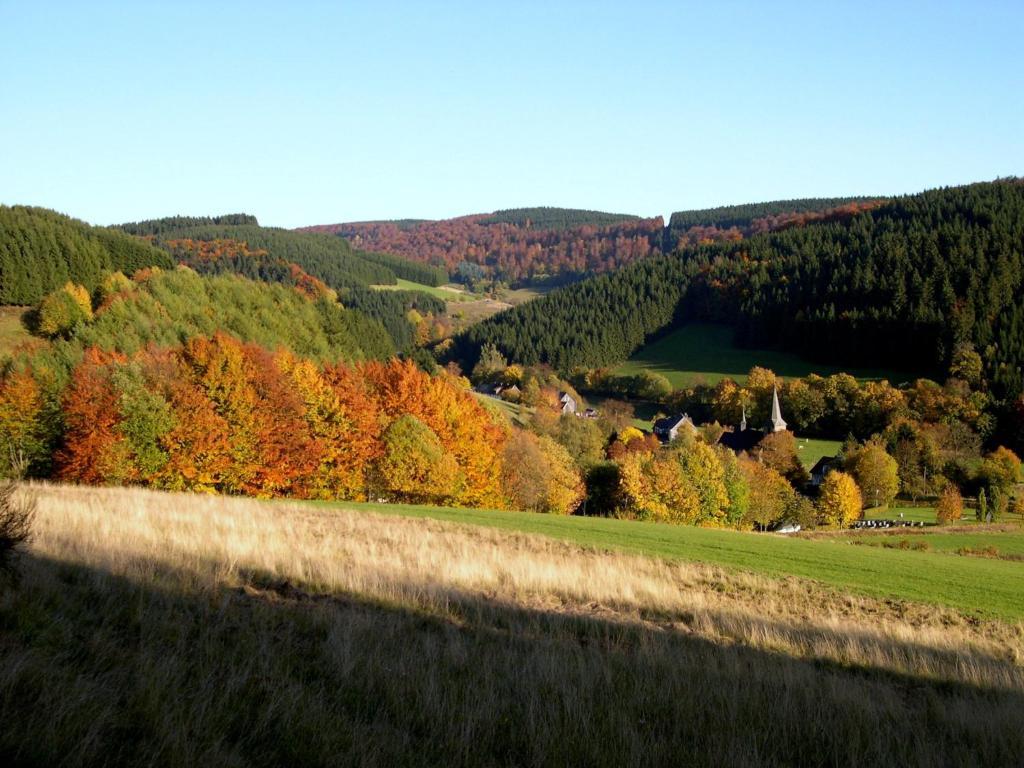 Landhaus Zum Sorpetal Hotel Schmallenberg Esterno foto